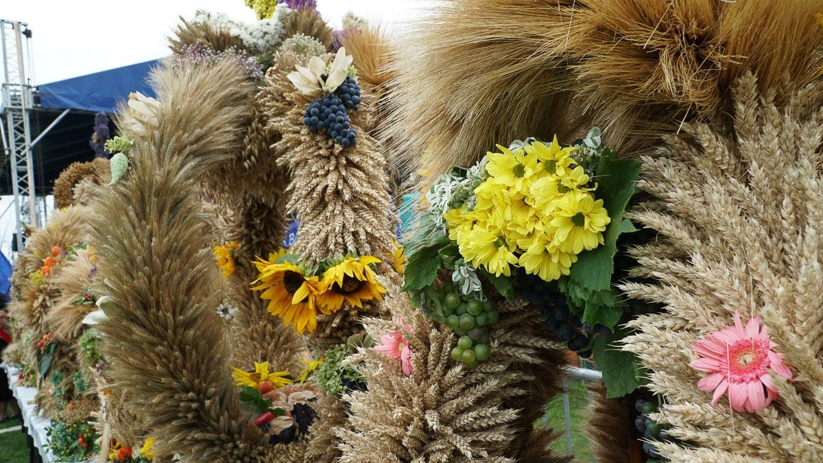 Dożynki w powiecie bolesławieckim