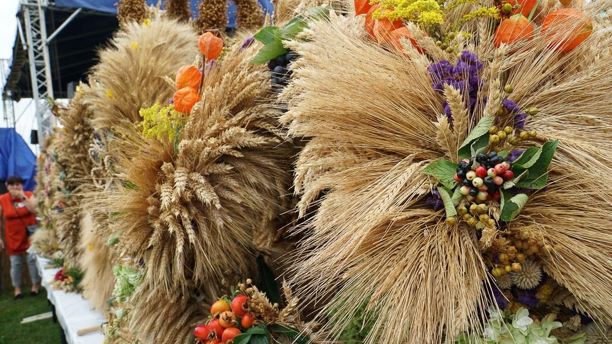 Dożynki w powiecie bolesławieckim