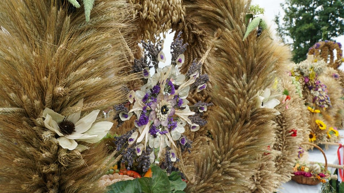 Dożynki w powiecie bolesławieckim