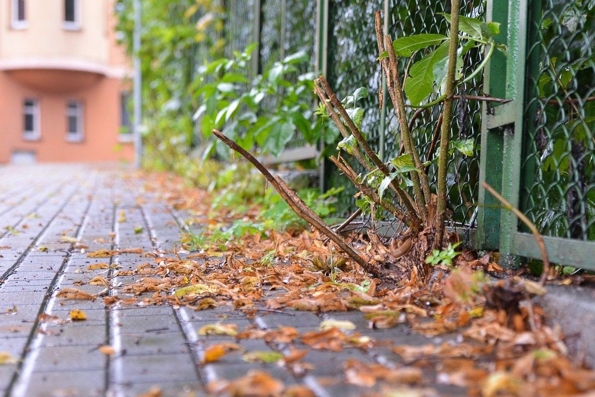 Ogrodzenie przy krzyżówce Kwiatowa–Gdańska w Bolesławcu