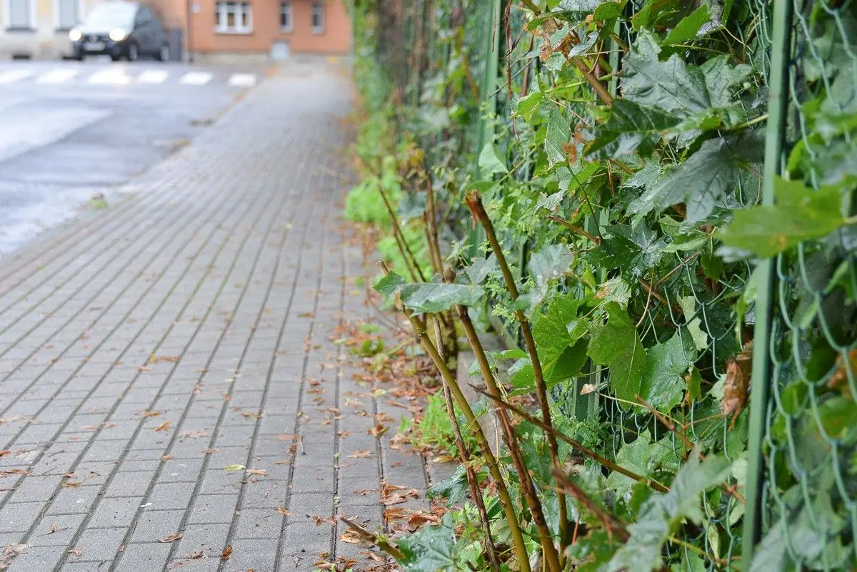 Ogrodzenie przy krzyżówce Kwiatowa–Gdańska w Bolesławcu