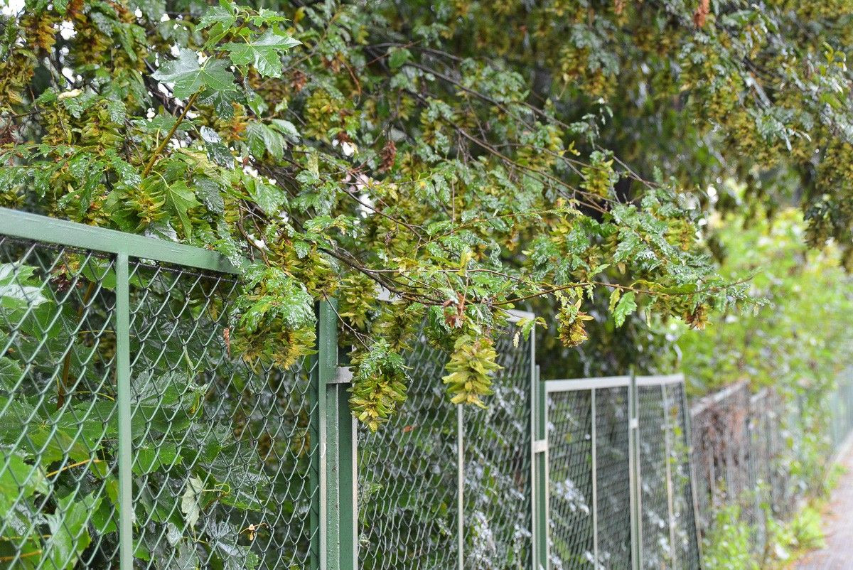 Ogrodzenie przy krzyżówce Kwiatowa–Gdańska w Bolesławcu