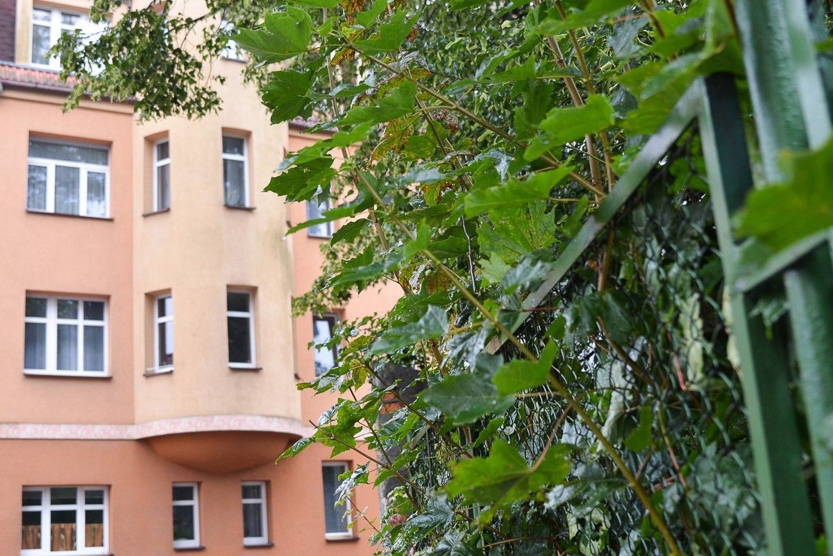 Ogrodzenie przy krzyżówce Kwiatowa–Gdańska w Bolesławcu