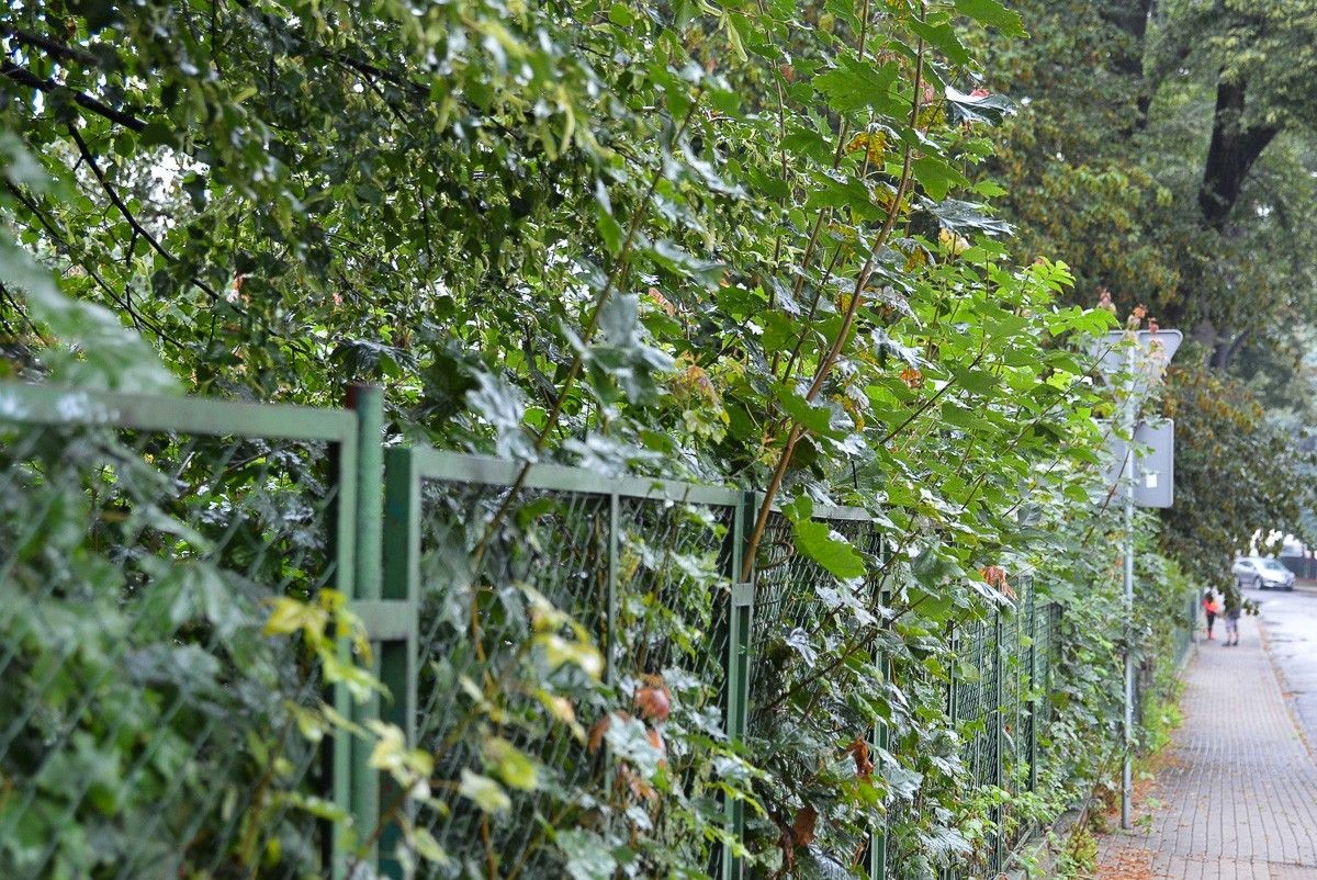 Ogrodzenie przy krzyżówce Kwiatowa–Gdańska w Bolesławcu