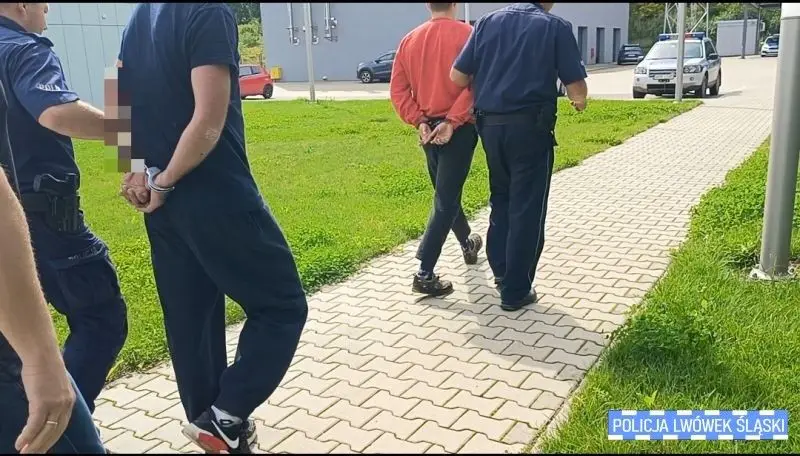 Działania policji