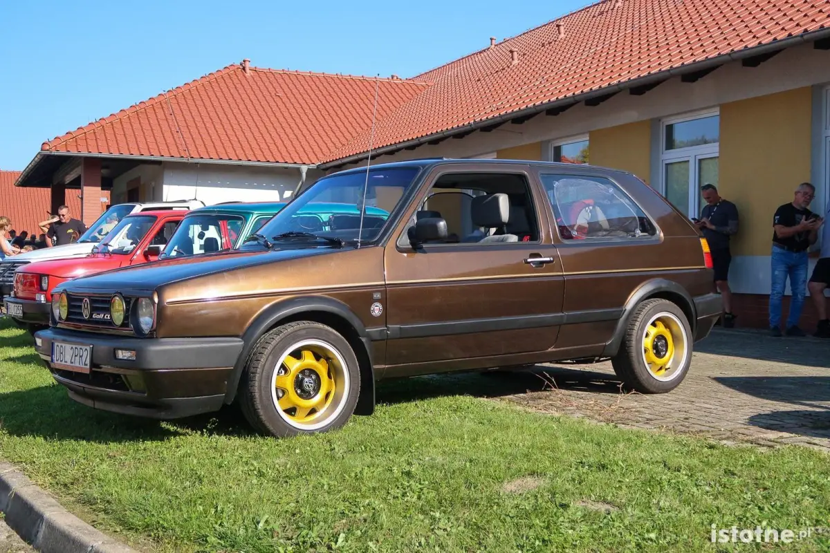 Auta na zlocie w Kruszynie