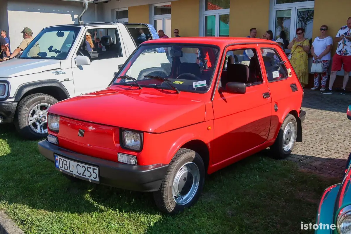 Auta na zlocie w Kruszynie