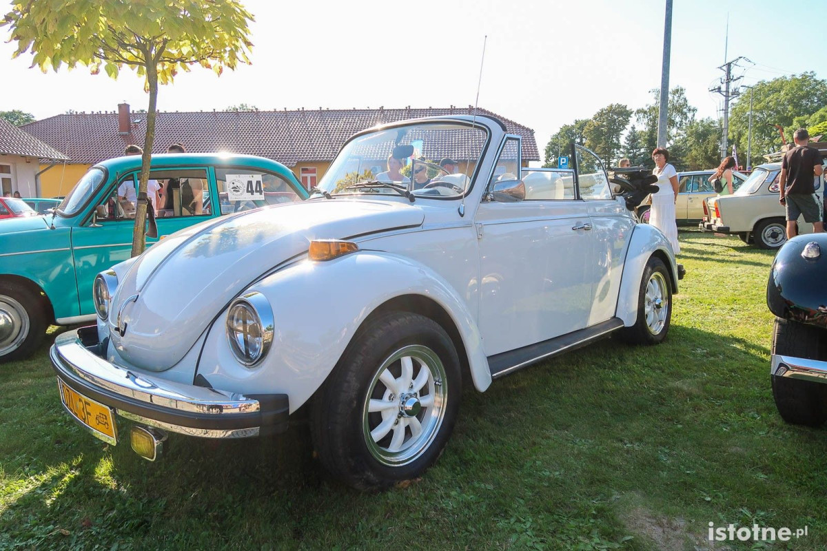 Auta na zlocie w Kruszynie