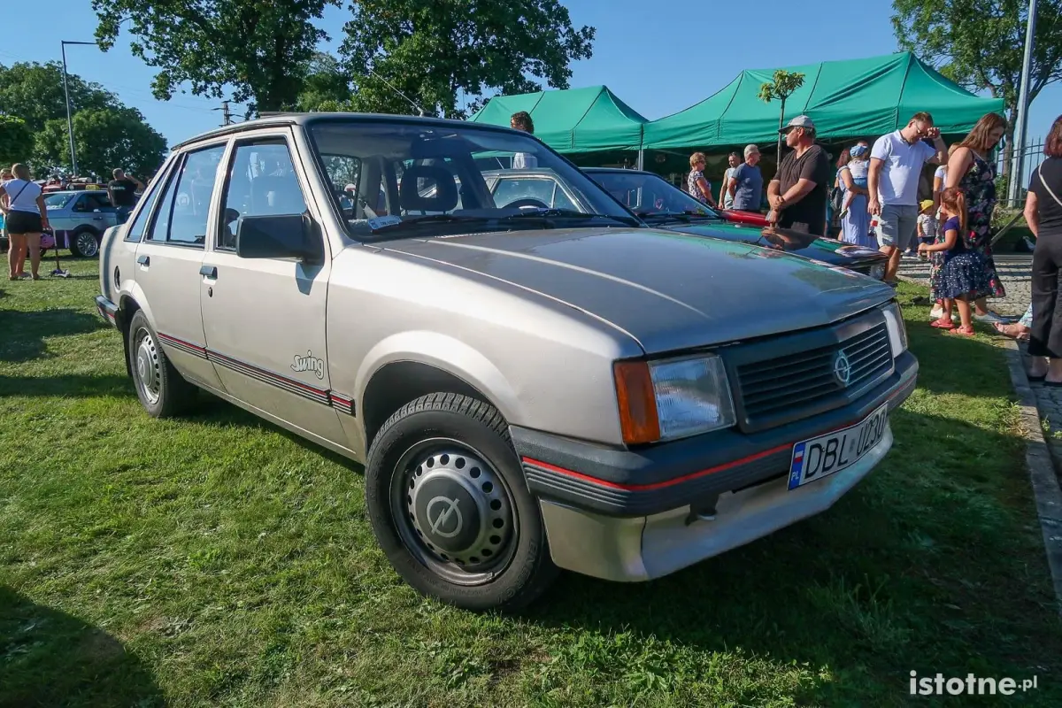 Auta na zlocie w Kruszynie