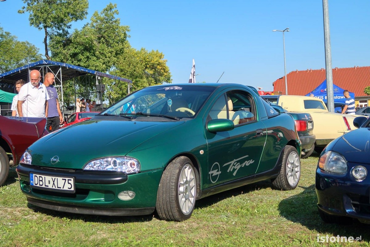 Auta na zlocie w Kruszynie