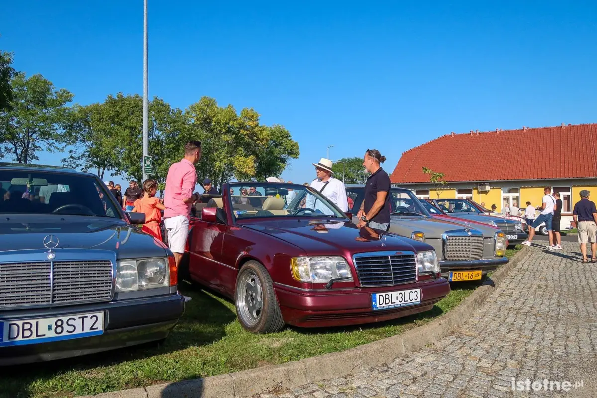 Auta na zlocie w Kruszynie