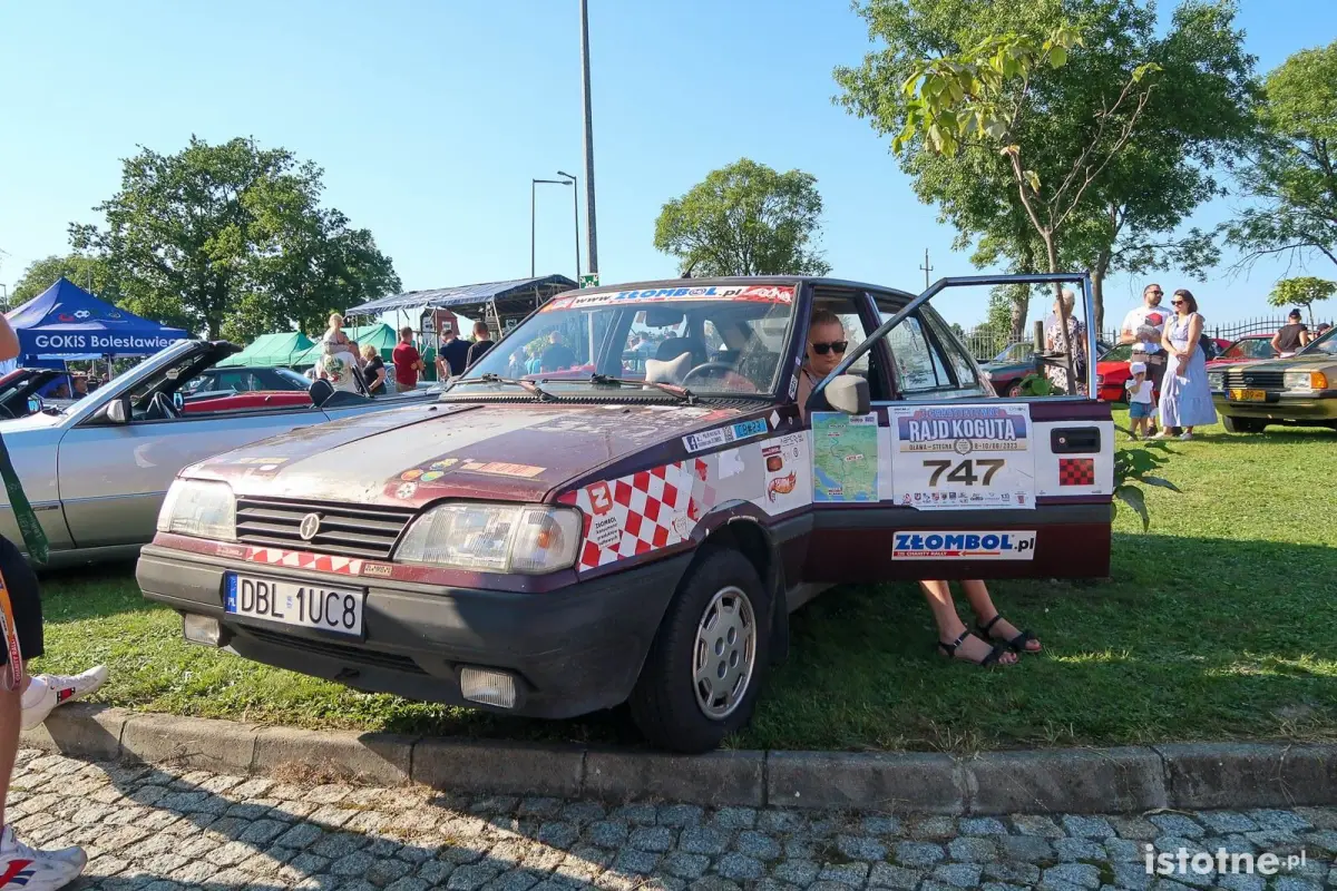 Auta na zlocie w Kruszynie