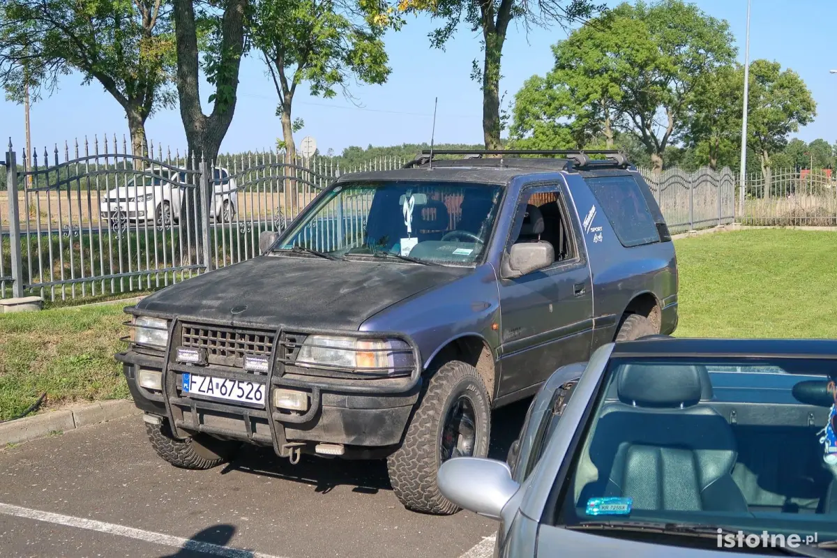 Auta na zlocie w Kruszynie