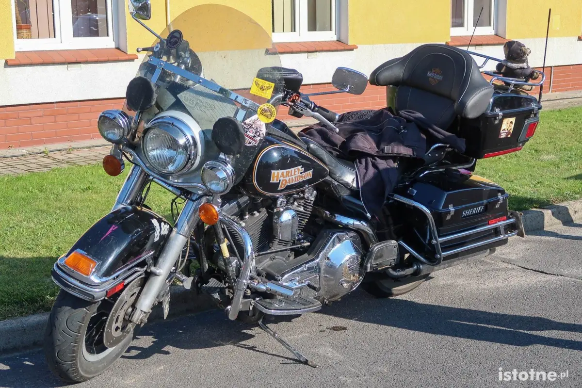 Auta na zlocie w Kruszynie