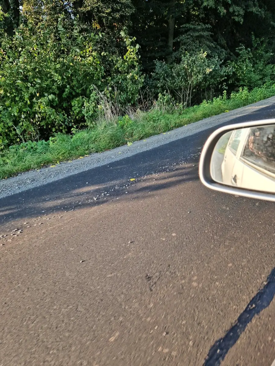Kamienie na drodze Gościszów–Mściszów