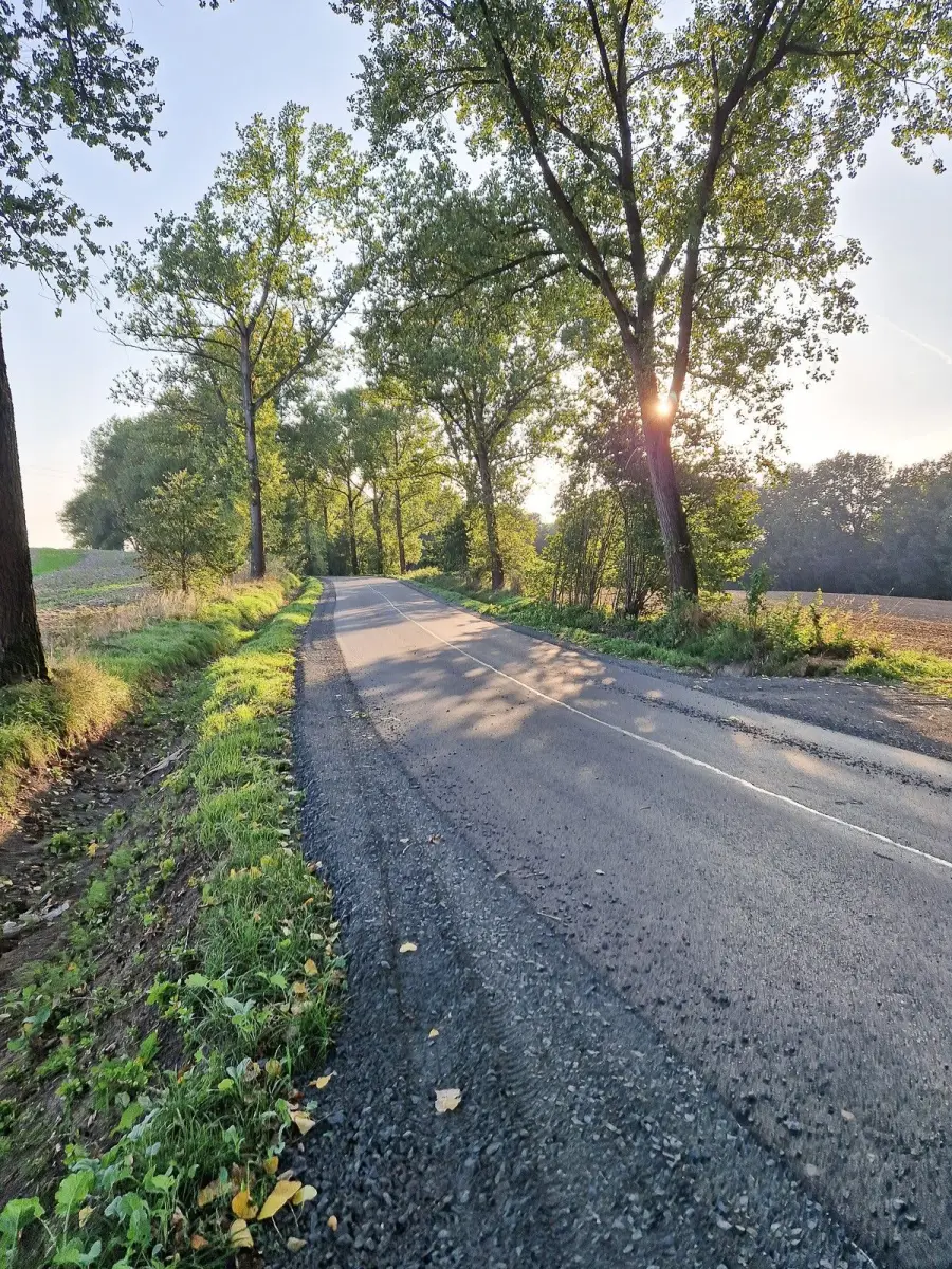 Kamienie na drodze Gościszów–Mściszów