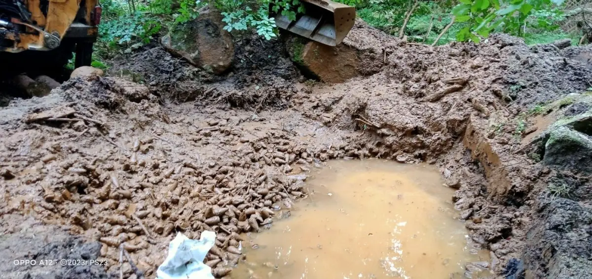 Akcja nurków i saperów. Wykryli prawie 33 TYSIĄCE niewybuchów