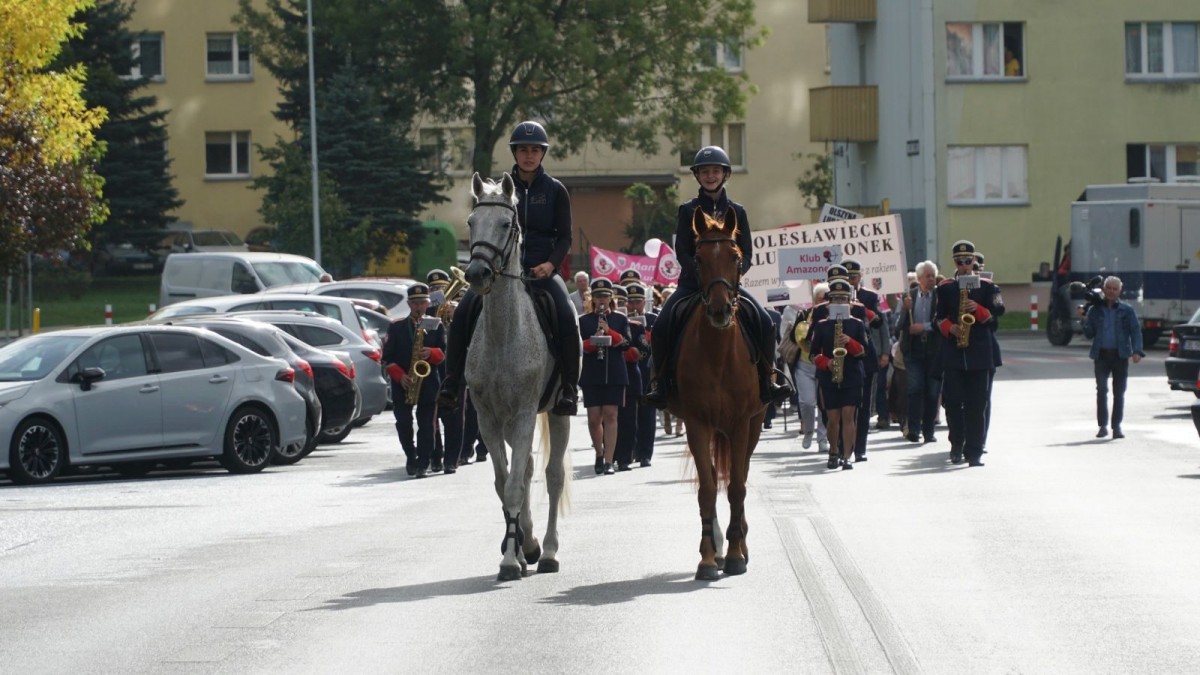 Bolesławiecki Dzień Walki z Rakiem