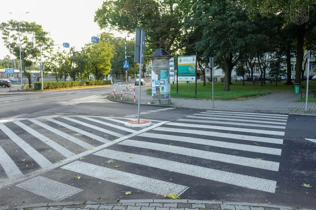 Działania magistratu