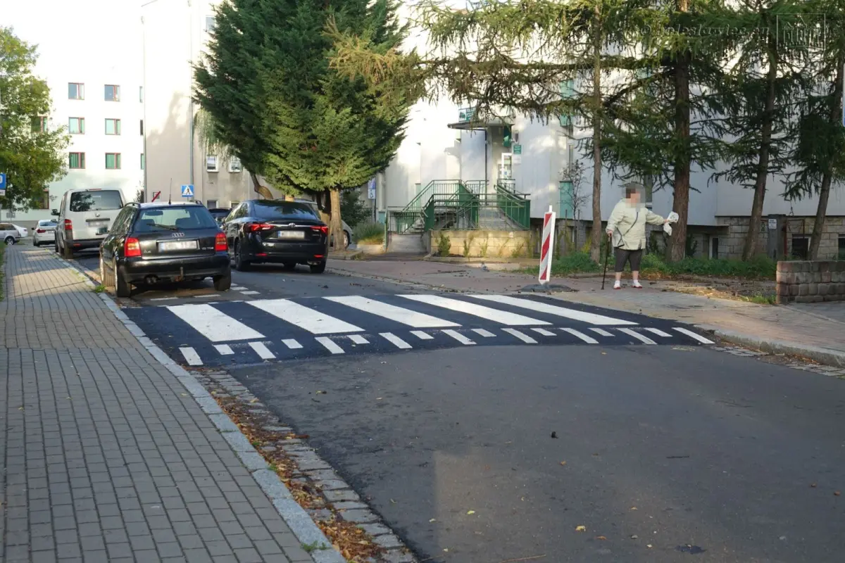 Działania magistratu