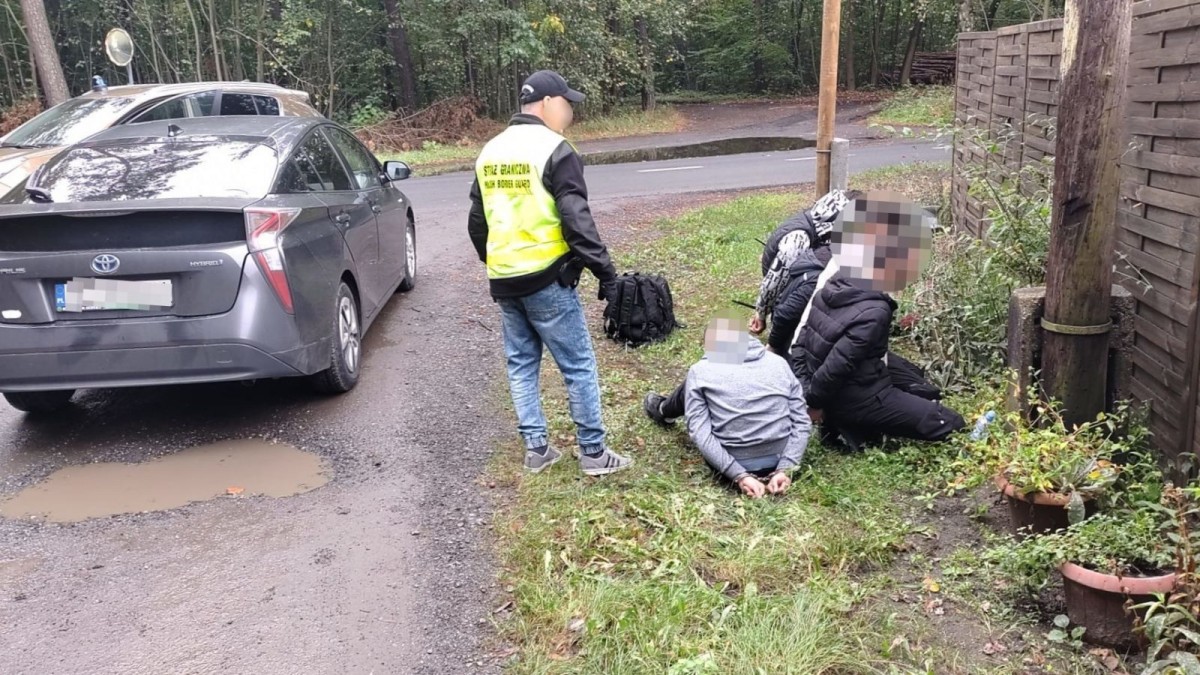 43 nielegalnych migrantów zatrzymanych w rejonie przygranicznym