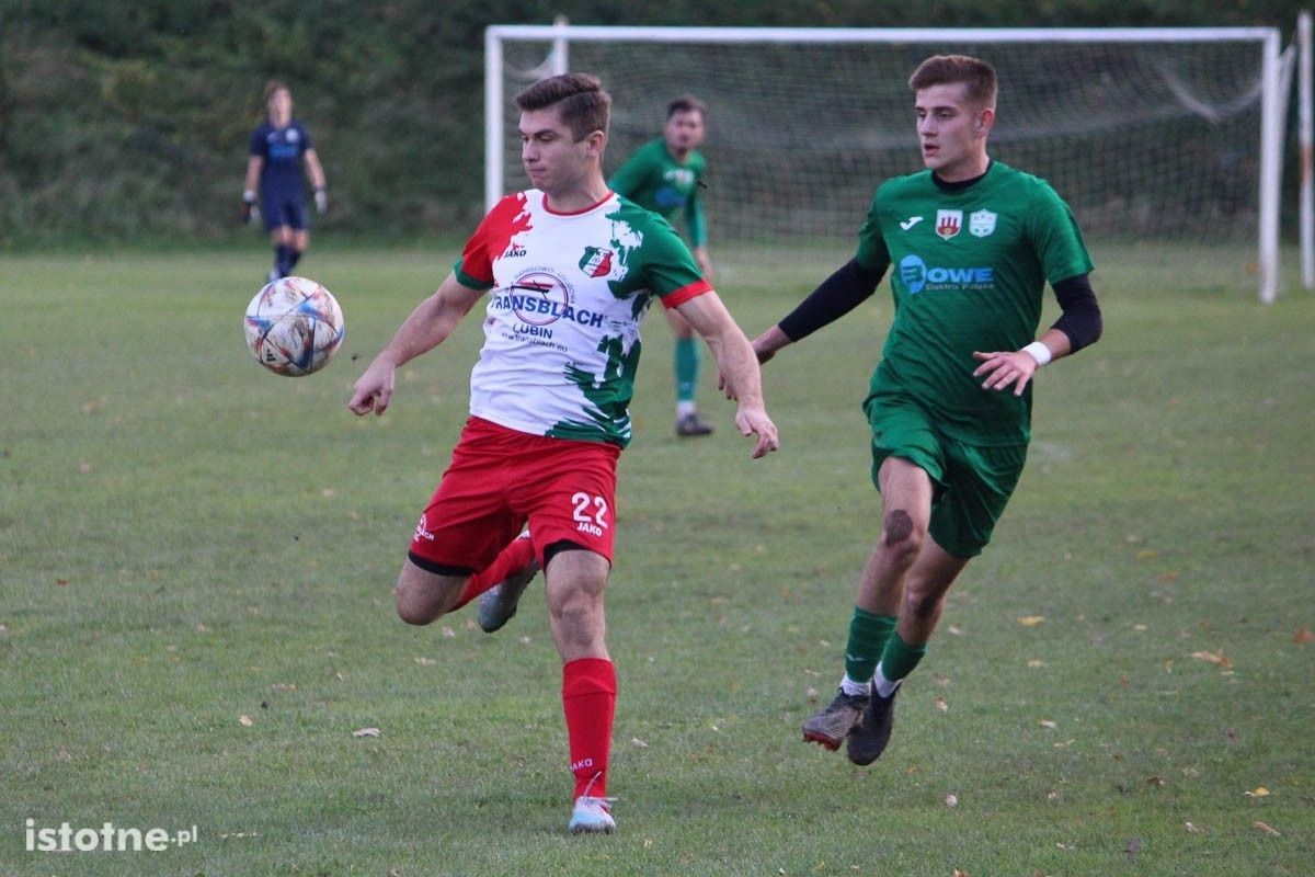 Galeria zdjęć z meczu BKS - Prochowiczanka Prochowice