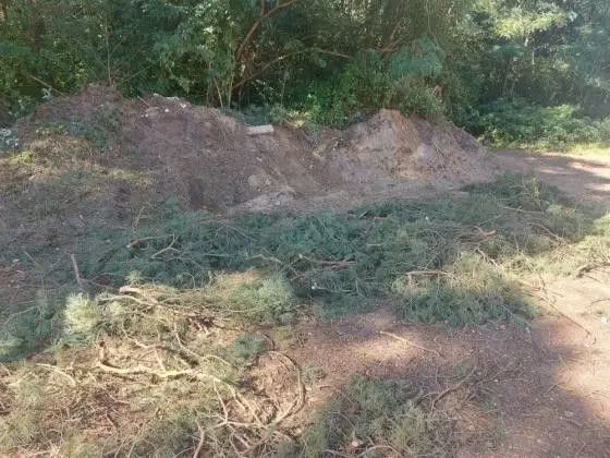 Działania Straży Leśnej Bolesławiec