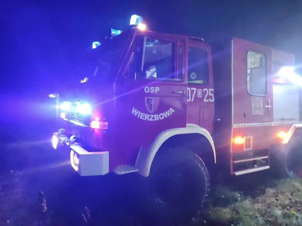 Pożar między Wierzbową a Pasternikiem