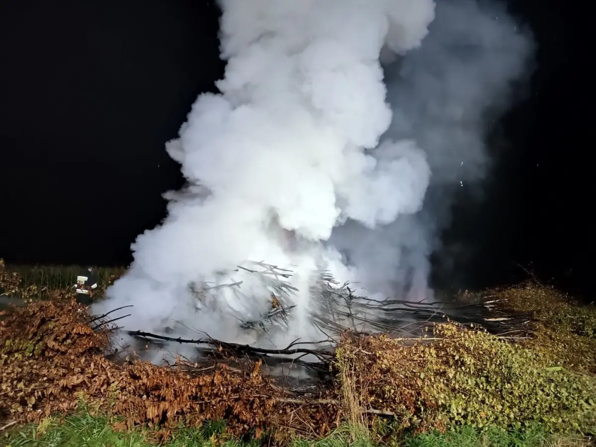 Pożar między Wierzbową a Pasternikiem