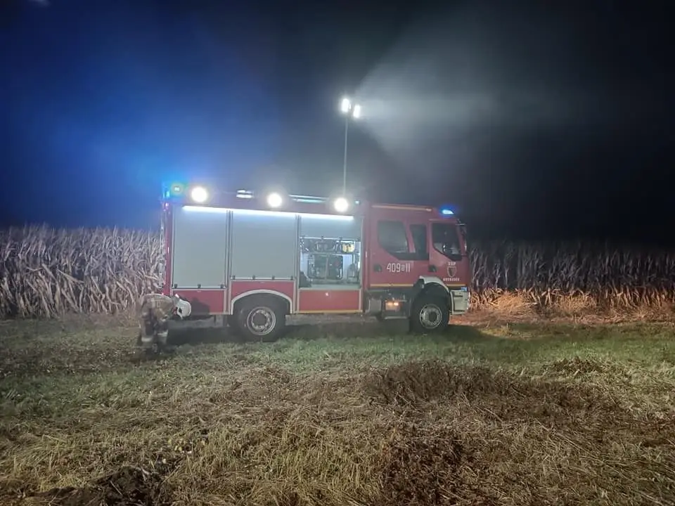 Pożar między Wierzbową a Pasternikiem