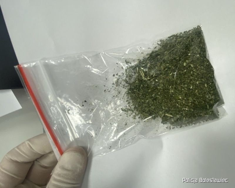 Narkotyki i zatrzymana