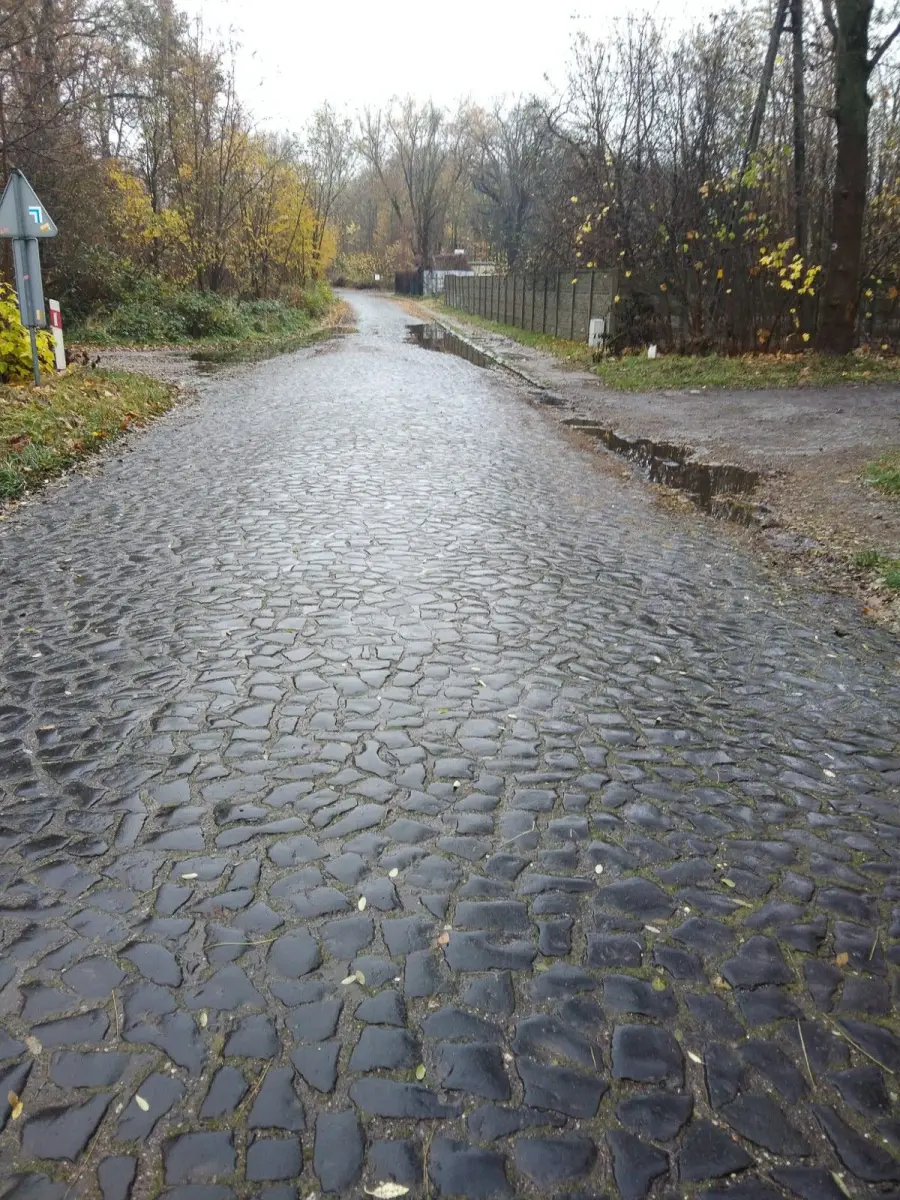 Drogi w Zebrzydowej