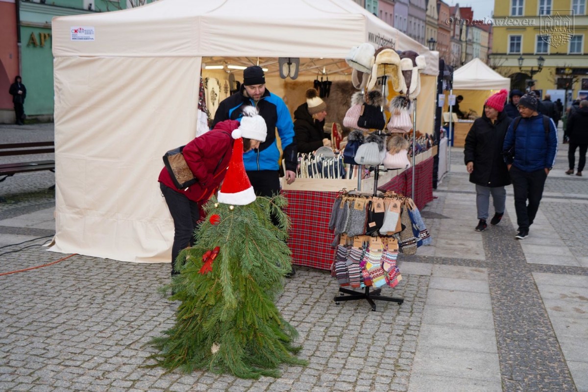 Bolesławiecka Gwiazdka Życzliwości 2023