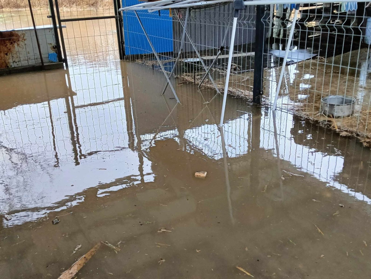 Rzeki w regionie występują z koryt. Jest ostrzeżenie od strażaków