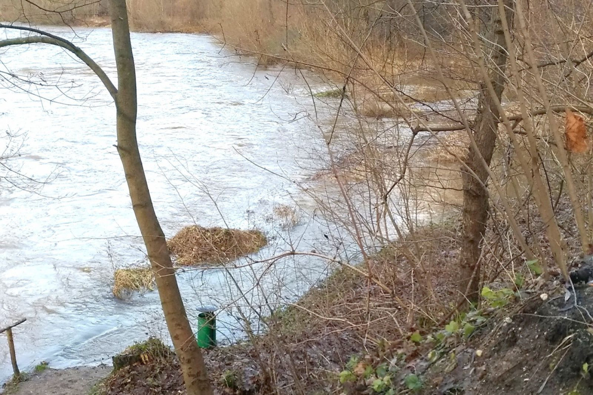 Bóbr grudzień 2023