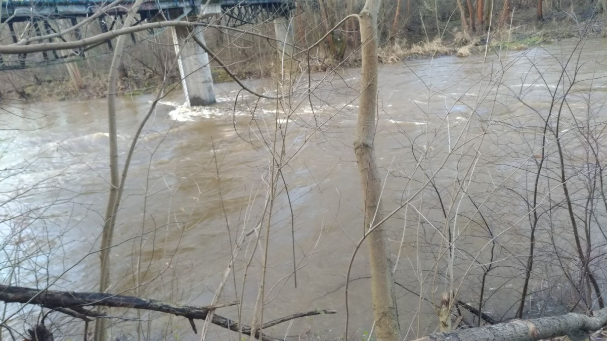 Bóbr grudzień 2023