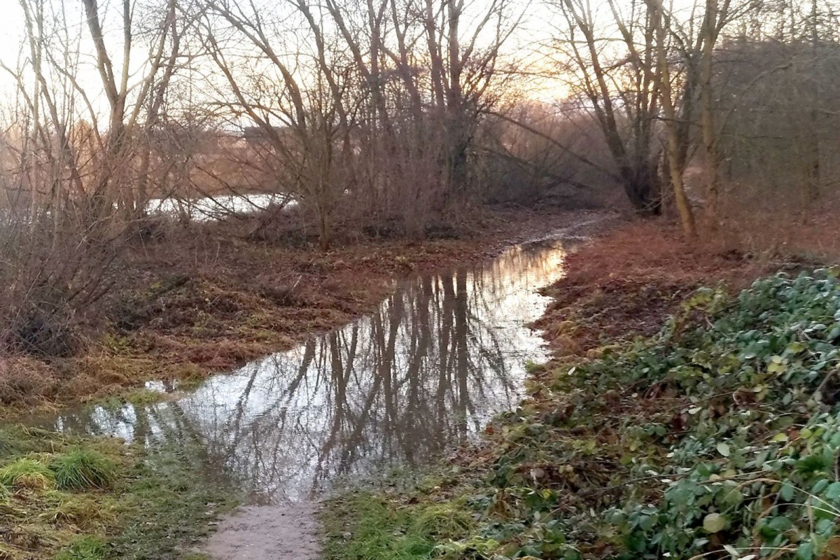 Bóbr grudzień 2023