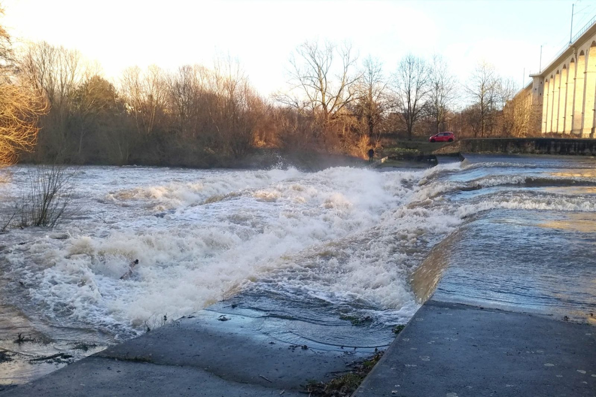 Bóbr grudzień 2023