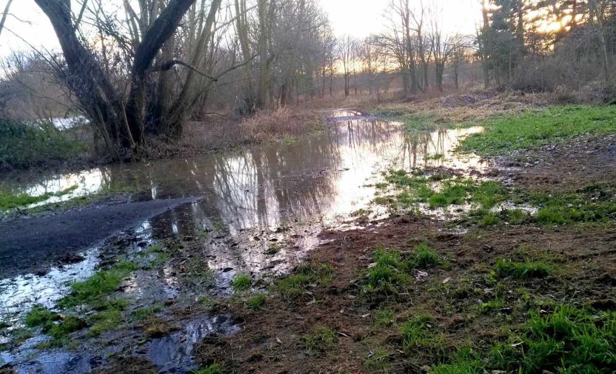 Bóbr grudzień 2023