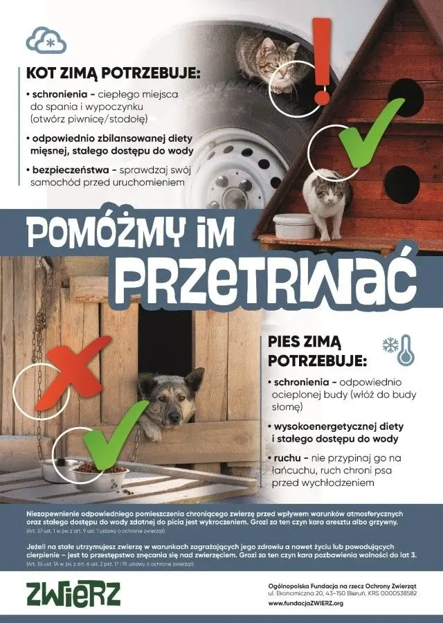 Pomóżmy zwierzętom przetrwać zimą