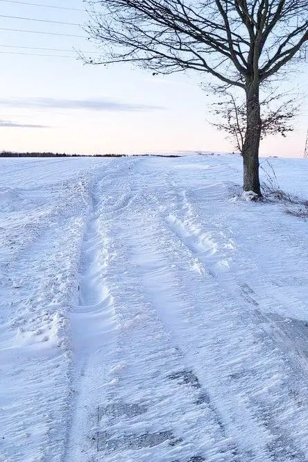 Дорога у Warta Bolesławiecka в напрямку млина