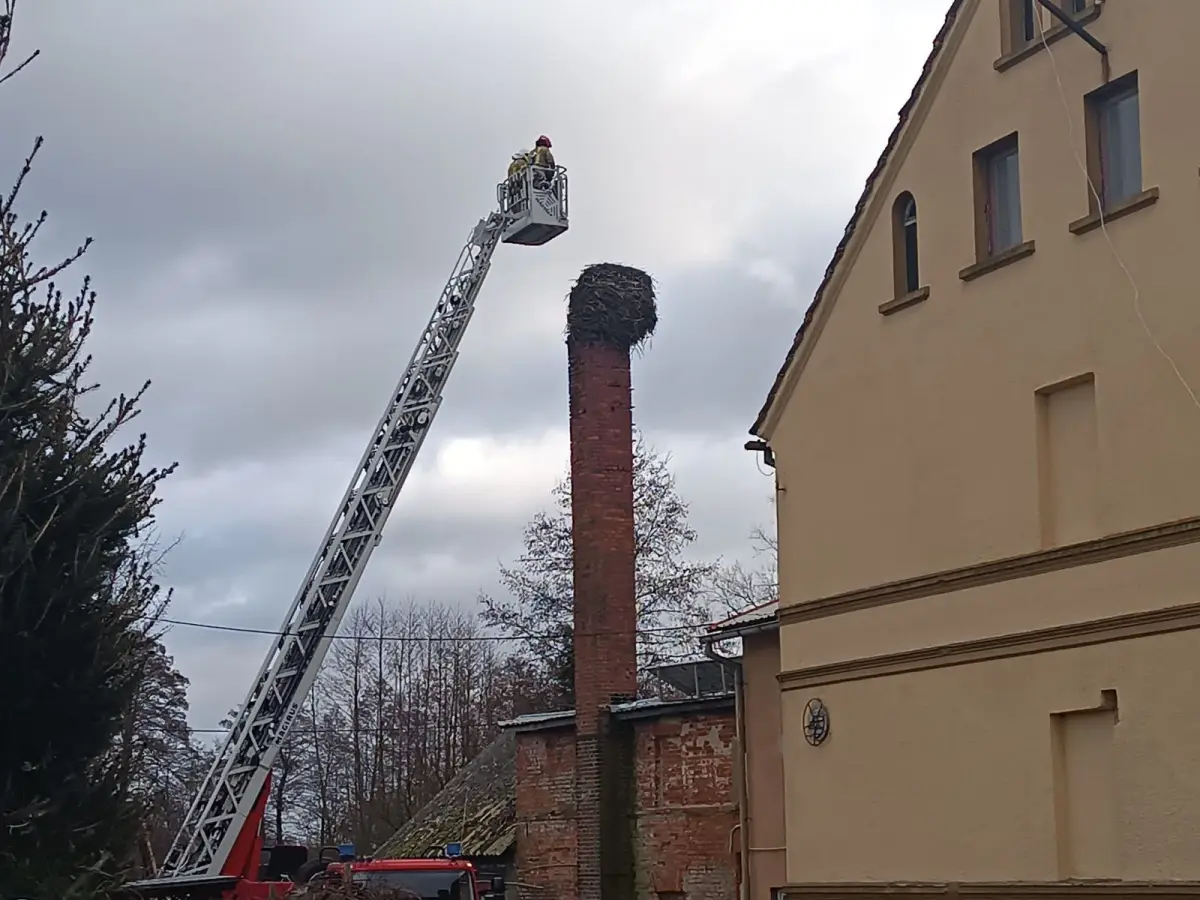 Akcja strażaków z Gromadki
