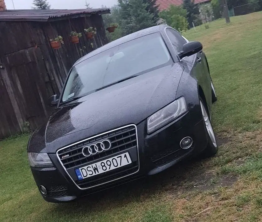 Audi skradzione w Trzebieniu