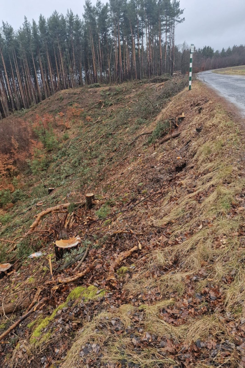 Droga między Parzycami a Kierżnem