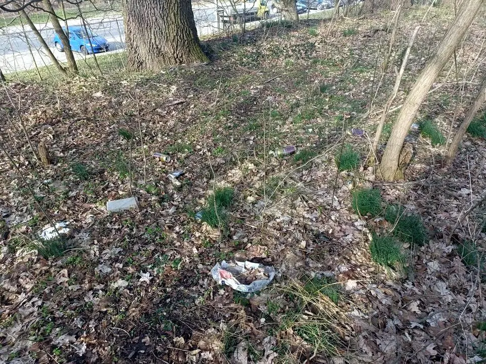 Śmieci nieopodal Śluzowej