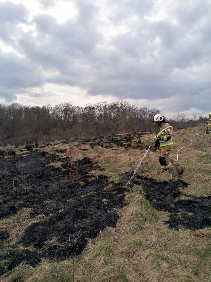 Akcja straży w Raciborowicach