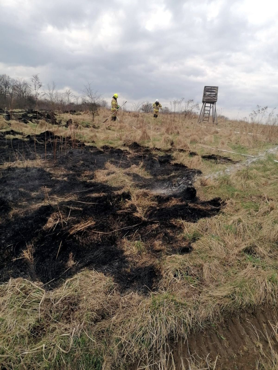 Akcja straży w Raciborowicach