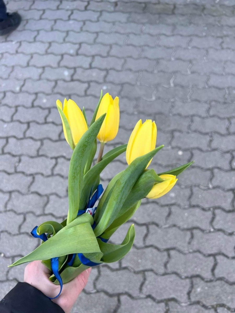 Akcja uczniów ZSB Bolesławiec