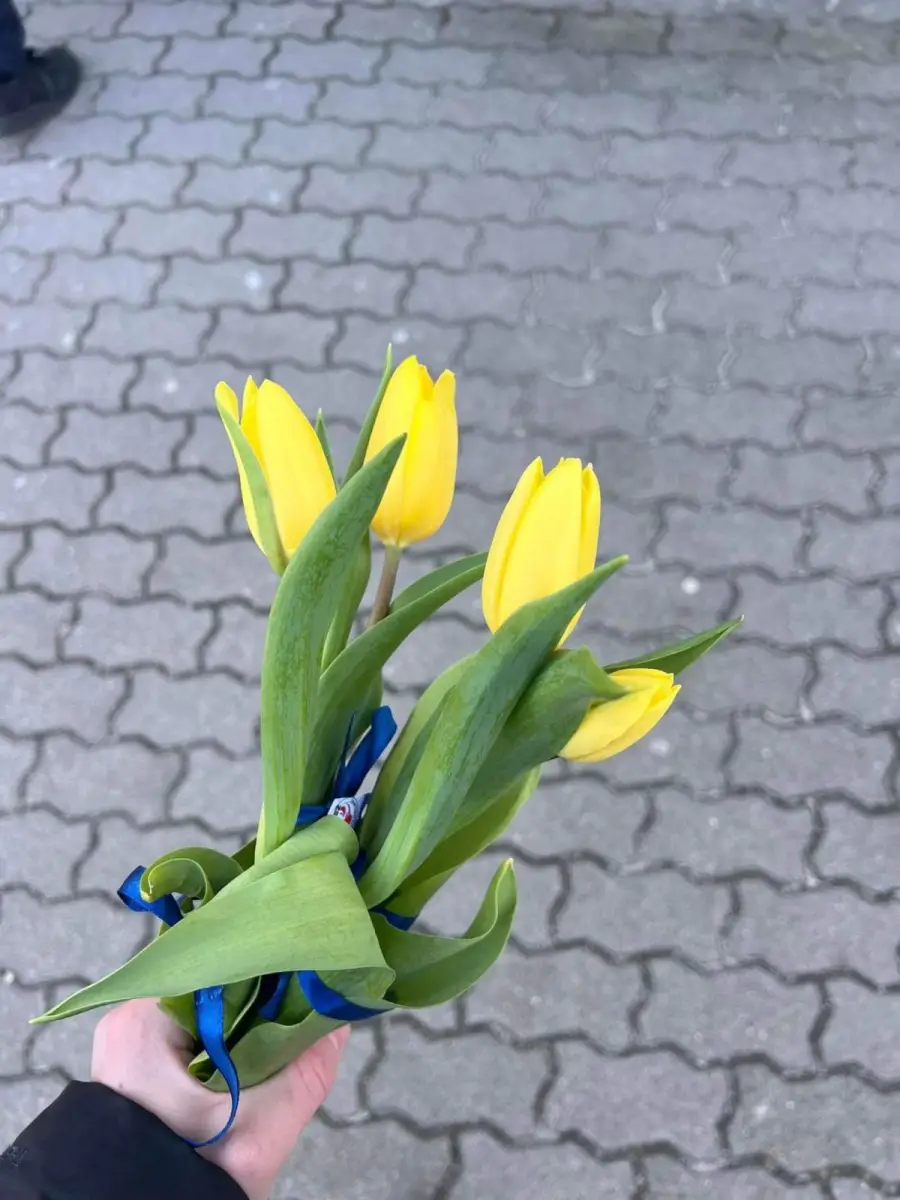 Akcja uczniów ZSB Bolesławiec