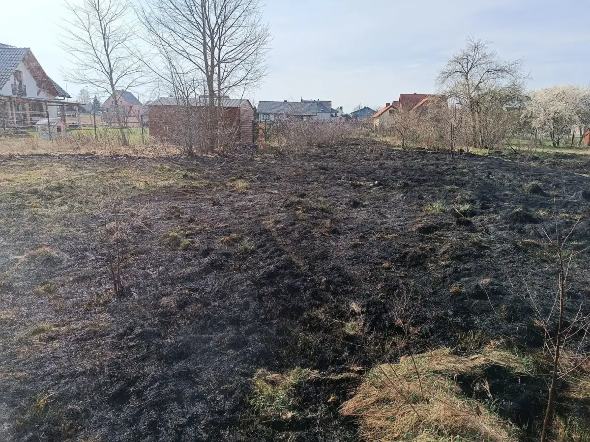 Akcja strażaków w Gromadce